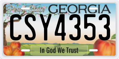 GA license plate CSY4353