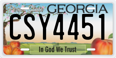 GA license plate CSY4451
