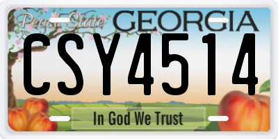GA license plate CSY4514
