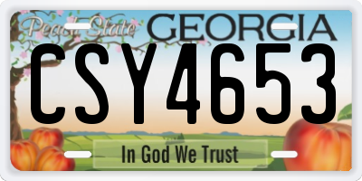 GA license plate CSY4653
