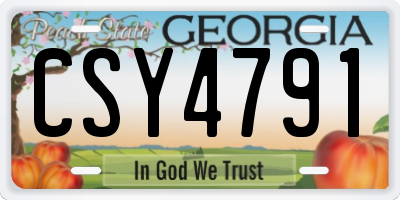 GA license plate CSY4791