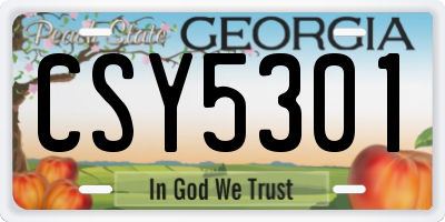 GA license plate CSY5301