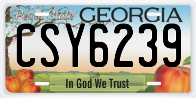 GA license plate CSY6239