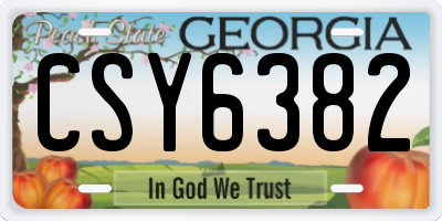 GA license plate CSY6382