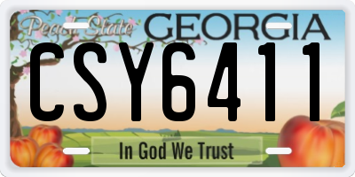 GA license plate CSY6411