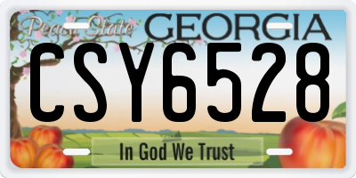 GA license plate CSY6528