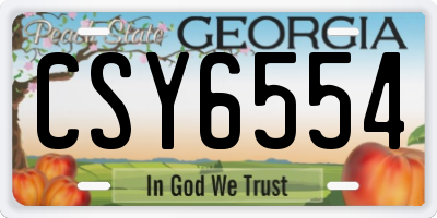 GA license plate CSY6554