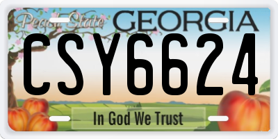GA license plate CSY6624