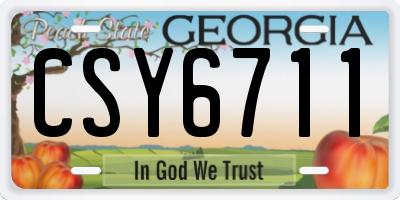 GA license plate CSY6711