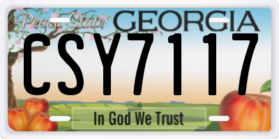 GA license plate CSY7117