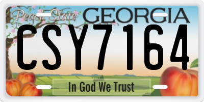 GA license plate CSY7164