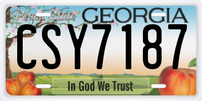 GA license plate CSY7187