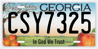 GA license plate CSY7325