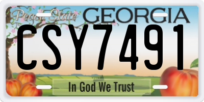 GA license plate CSY7491