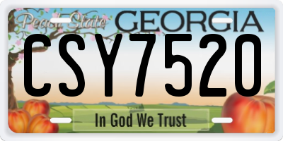 GA license plate CSY7520