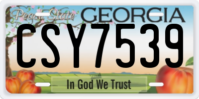 GA license plate CSY7539