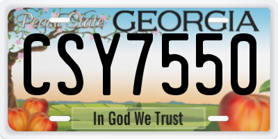 GA license plate CSY7550