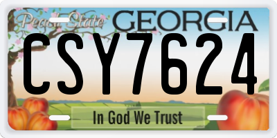 GA license plate CSY7624