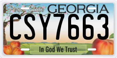 GA license plate CSY7663