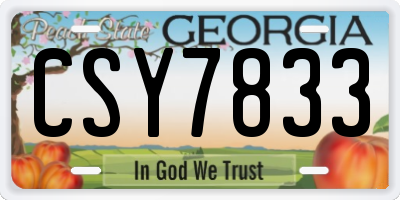 GA license plate CSY7833