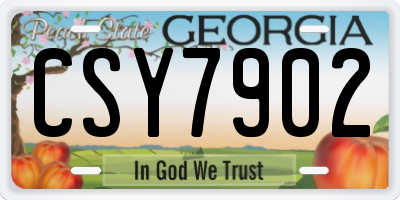 GA license plate CSY7902