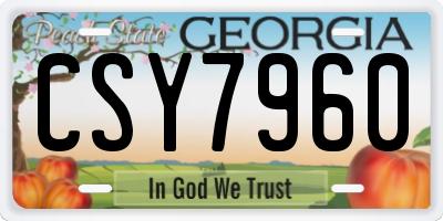 GA license plate CSY7960