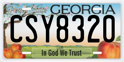 GA license plate CSY8320