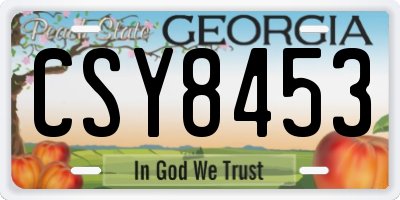 GA license plate CSY8453