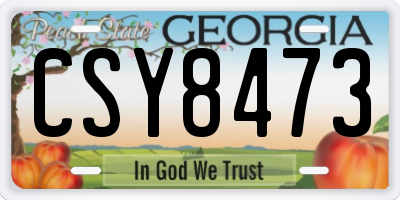GA license plate CSY8473