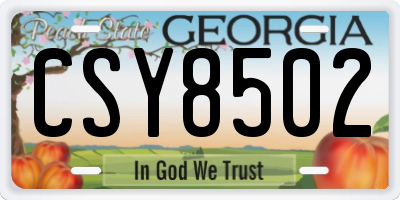 GA license plate CSY8502