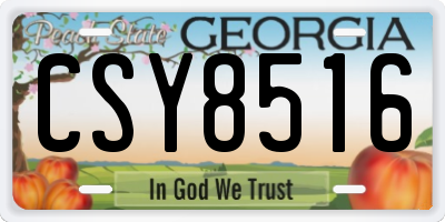 GA license plate CSY8516