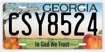 GA license plate CSY8524