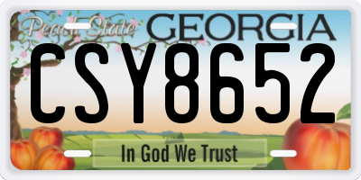 GA license plate CSY8652