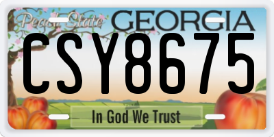 GA license plate CSY8675
