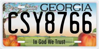 GA license plate CSY8766