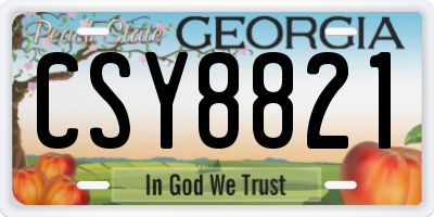 GA license plate CSY8821