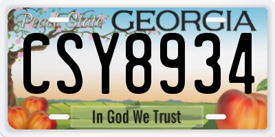 GA license plate CSY8934
