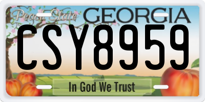 GA license plate CSY8959
