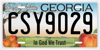 GA license plate CSY9029