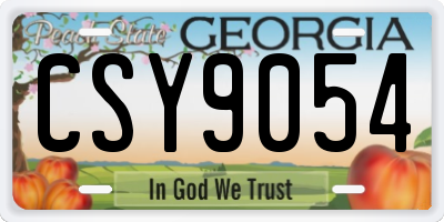 GA license plate CSY9054