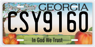 GA license plate CSY9160
