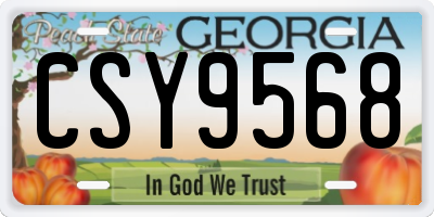 GA license plate CSY9568
