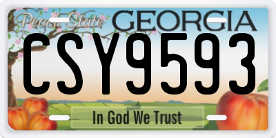 GA license plate CSY9593