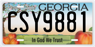 GA license plate CSY9881