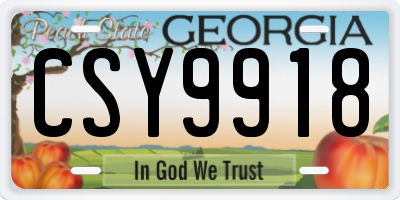 GA license plate CSY9918
