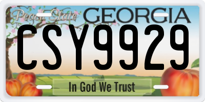 GA license plate CSY9929