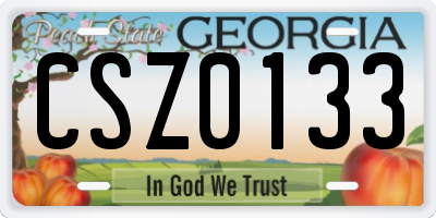 GA license plate CSZ0133