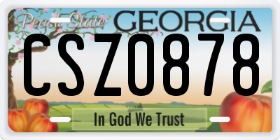 GA license plate CSZ0878