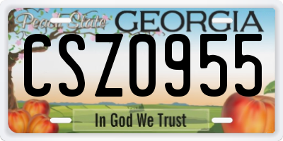 GA license plate CSZ0955