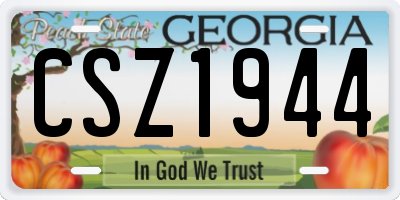 GA license plate CSZ1944